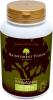 Rainforest Foods BIO MLAD PENICE 140 x 500 mg kapsle
